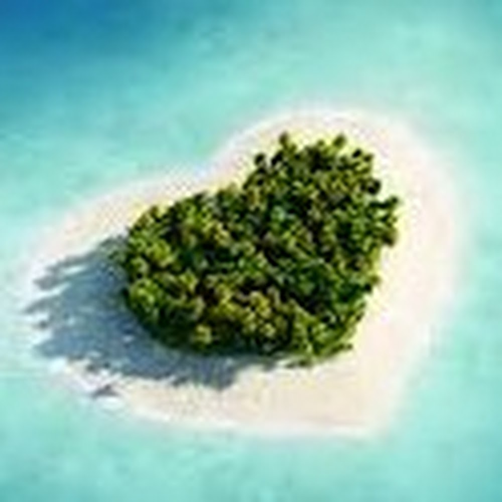 Meet your Posher, *johana